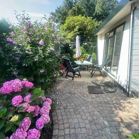 Chalet Ruim, Mooi En Modern Met Heerlijke Tuin *