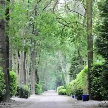 Ruim, Mooi En Modern Met Heerlijke Tuin * Baarle-Nassau