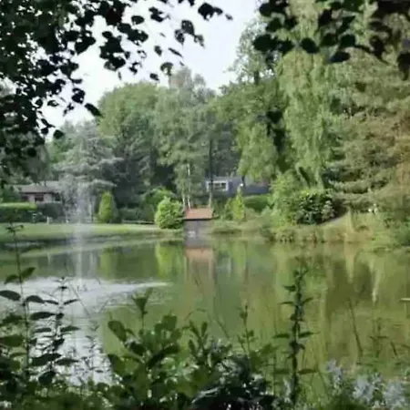 Ruim, Mooi En Modern Met Heerlijke Tuin