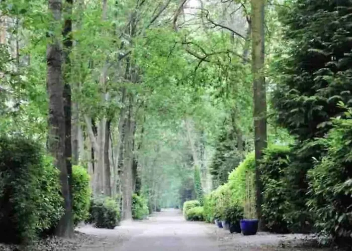 Ruim, Mooi En Modern Met Heerlijke Tuin * Барле-Нассау