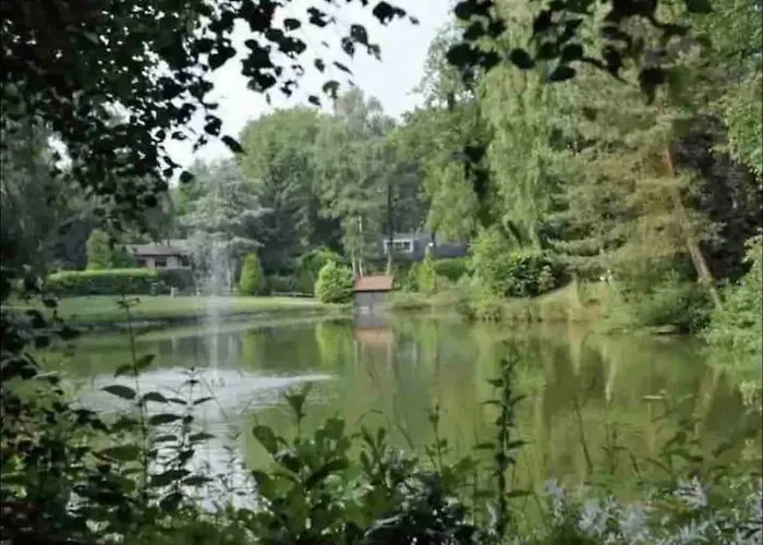 Ruim, Mooi En Modern Met Heerlijke Tuin